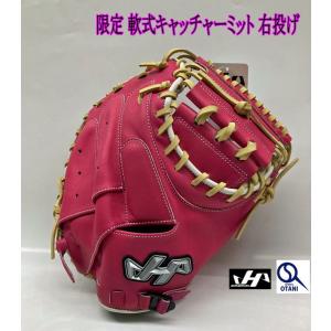 ハタケヤマ（HATAKEYAMA） キャッチャーミット 硬式 右投げ PBW-4208