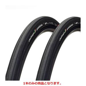 Panaracer（パナレーサー） RACE C EVO4 （レースCエボ4）クリンチャー