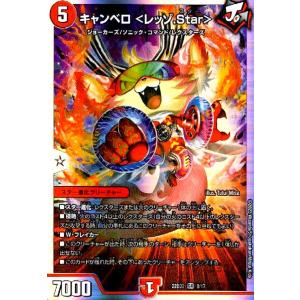 闘争類拳嘩目 ステゴロ・カイザー／お清めシャラップ(R・ホイル)(12