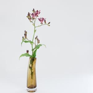 バカラ（Baccarat） オセアニア レッド フラワーベース 花瓶 箱付き