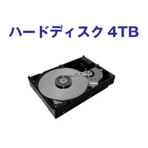 Western Digital WD40EZRZ （WD40EZRZ-RT） ［WD Blue 5400 RPM Class