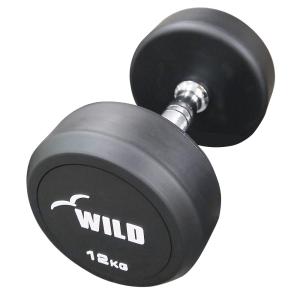 WILD FIT（ワイルドフィット） 固定式 ダンベル 8kg WF / ジムダンベル