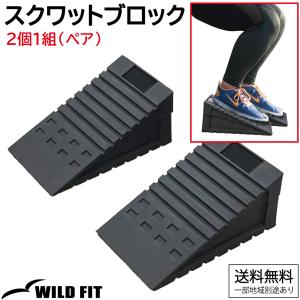 WILD FIT（ワイルドフィット） ダンベルセット 20kg 黒ラバー / 筋トレ