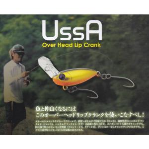 Rodio Craft（ロデオクラフト） モカ タイプDR 2フック SS : ウインズ