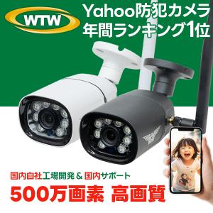 WTW 塚本無線 屋内用 防犯カメラ 800万画素XPoEシリーズ 防犯灯カメラ