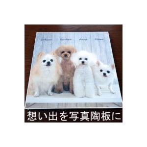 写真陶板（フォトセラミックス）ft-colo）ペットや大切な思い出の写真