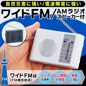 Panasonic（パナソニック） 並行輸入品＜ 新品 ＞Panasonic