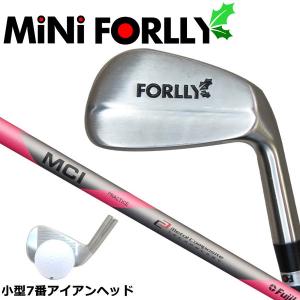 フジクラシャフト 【練習器具】フジクラ MCIプラクティスアイアン
