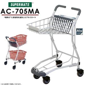 ショッピングカートタイプ41 中日販売 業務用 店舗用品 備品 : テン