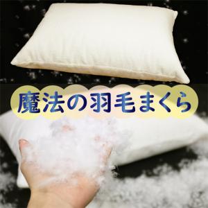 SIMMONS（シモンズ） 爆買 SIMMONS PREMIUM DOWN PILLOW プレミアム