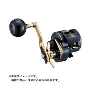 DAIWA（釣り） 21 ソルティガIC 300H-SJ 釣り ベイトリール - 最安値