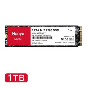 WINTEN 内蔵SSD 1TB SSD M.2 大容量 5年保証 ドライバー付 Type2280
