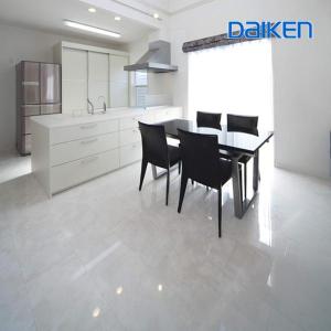 DAIKEN 大建工業 イエリアフロア セレクト 石目柄(艶消し) 〈ディ