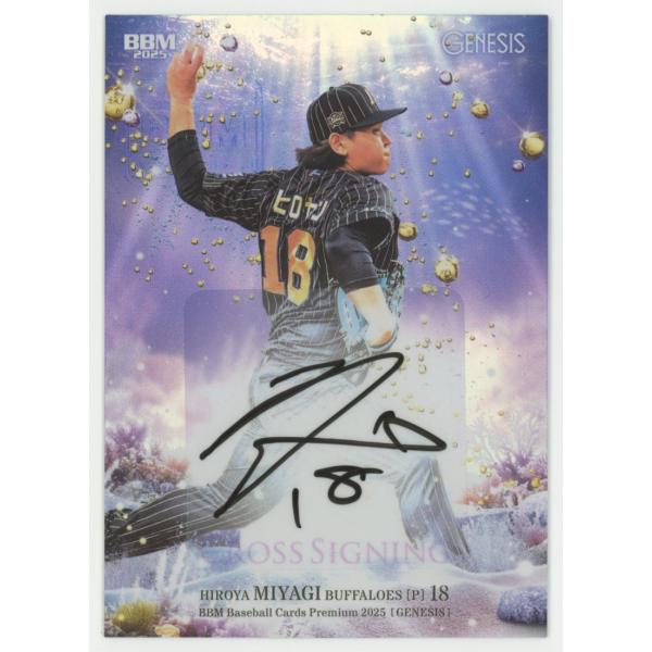 coletre_kpl171716940