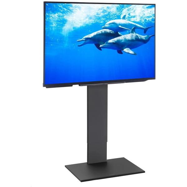 EQUALS（イコールズ） EQUALS WLTVA6119 ブラック V2 テレビスタンド