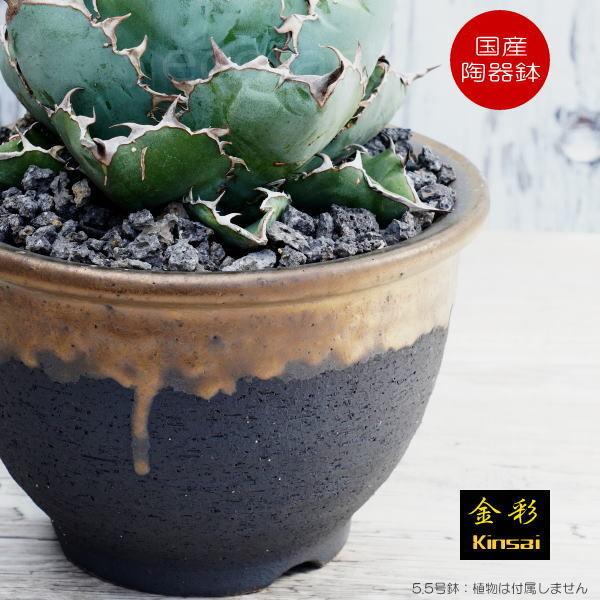 陶器鉢 植木鉢 5.5号フチ 底穴あり 金彩 ブラック 園芸鉢 信楽焼 かみ