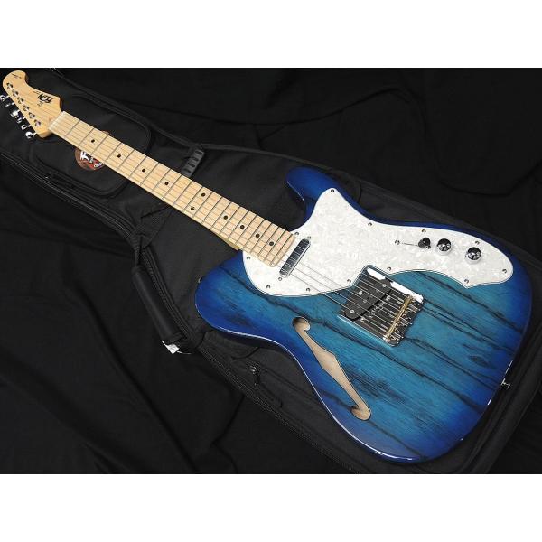 FUJIGEN（フジゲン） FGN FUJIGEN NTE100MAHT SBB テレキャスター シン