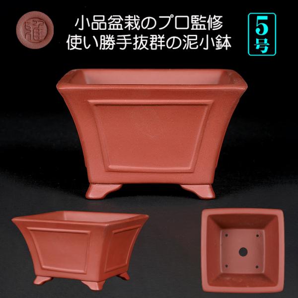盆栽鉢 紫泥額面正方鉢 朱泥 植木鉢 中国鉢 泥鉢 懸崖鉢 陶器 5号 16cm