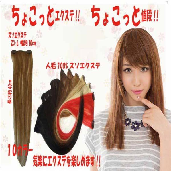 エクステ 人毛100% 38cm w382 : ウィッグ・エクステ専門店BBroom