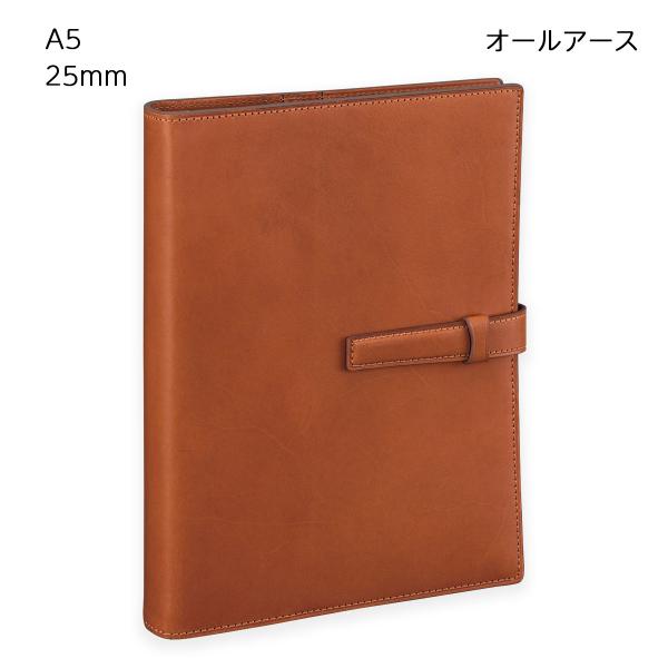 ダ・ヴィンチ 【送料無料(本州のみ)】レイメイ藤井 DSA4051C システム