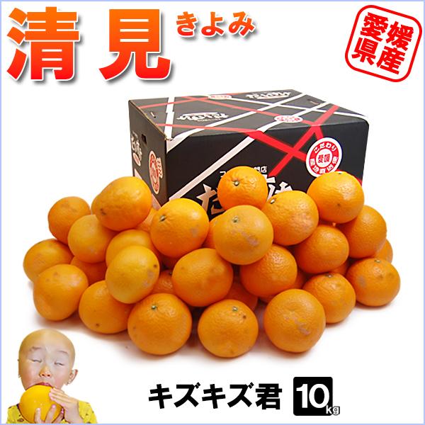 清見 キズキズ君 10kg : 愛媛だいすけ果樹園 - 通販 - Yahoo