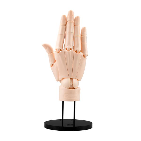 コトブキヤ（KOTOBUKIYA） 送料無料◇再販 ARTIST SUPPORT ITEM 1/1