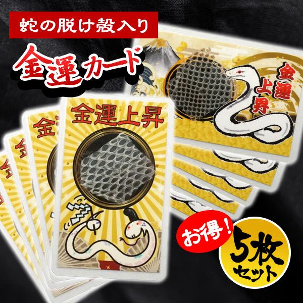 お得な5枚セット 金運カード 蛇の抜け殻入り 5枚セット金運アップ 蛇