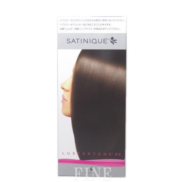 アムウェイ サテニーク ラスタートーン EX 4 ナチュラルブラウン