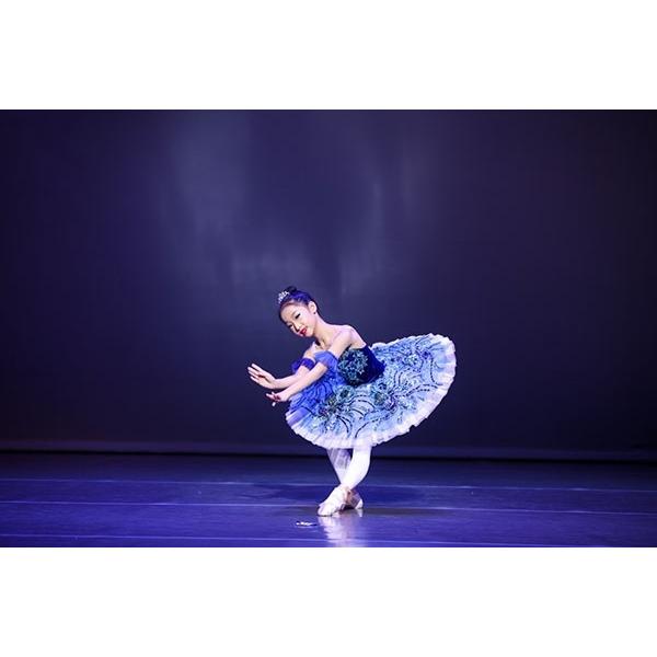 子供ダンス衣装 チュチュ バレエ発表会 バレエ形体服 レオタード