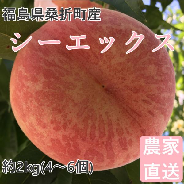 桃 シーエックス 2kg 福島桑折町産 9月下旬お届け 4〜6個 常温配送