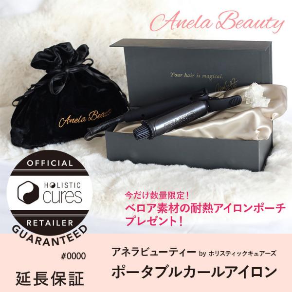 HOLISTIC cures（ホリスティックキュアーズ） 耐熱アイロンポーチ付