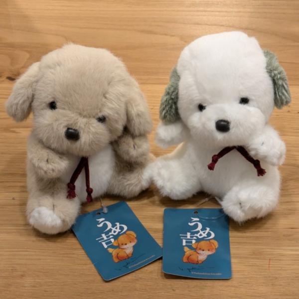 うめ吉 抱き 犬 ぬいぐるみ オリエンタルトーイ 2024年新製品 : HONDA