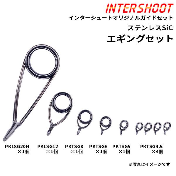 Fuji エギング ガイドセット ステンレスSiC PKLSG20H9-IS スピニング