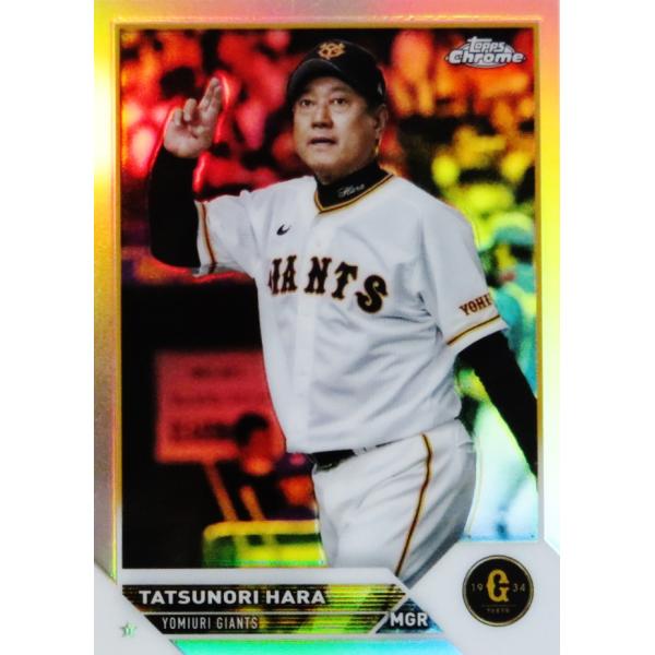 jambalaya_23topnpbch-018ref