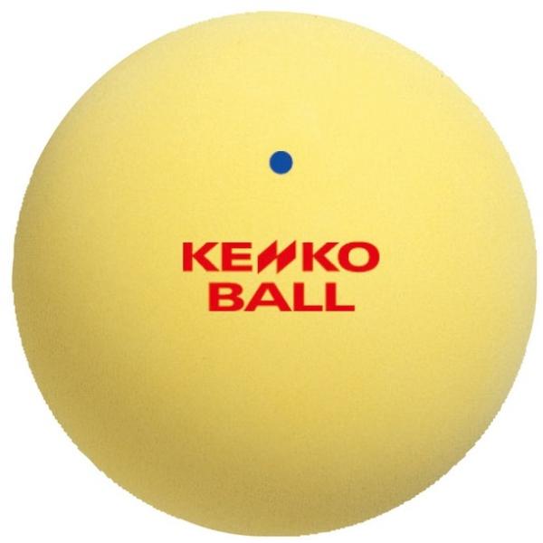 NAGASE KENKO（ナガセケンコー） ケンコーソフトテニスボール 公認球
