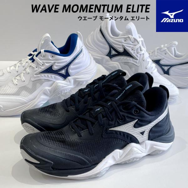 MIZUNO（ミズノ） 送料無料 バレーボールシューズ メンズ レディース