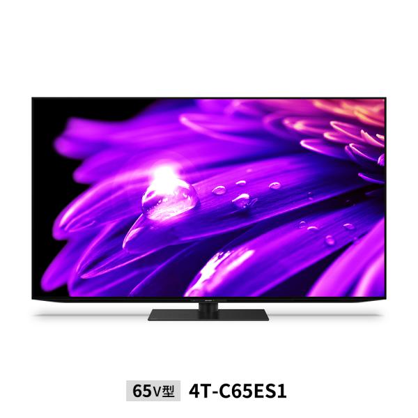 4T-C65ES1」の人気商品一覧 | 安い商品を通販サイトから探す - 価格.com