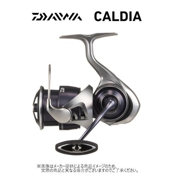 DAIWA（ダイワ） '25 CALDIA(カルディア) LT 3000S-CXH (スピニング