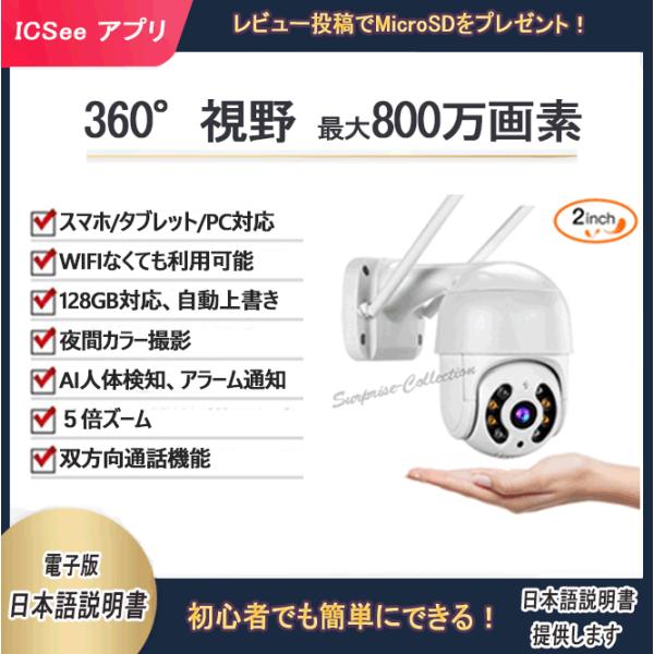 surprise-collection_qx29-s