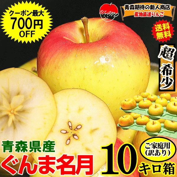即日発送 青森 りんご 10kg箱 訳あり/家庭用 ぐんま名月 送料無料