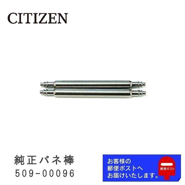 CITIZEN（シチズン） 純正 バネ棒 1.6mm / 18mm 腕時計 ベルト