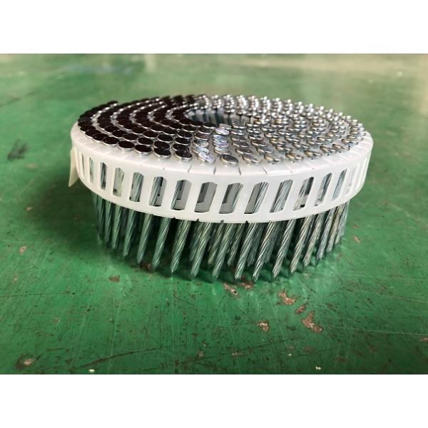 toriiya-1919_kmp25-45