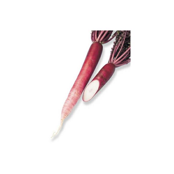 八江農芸 ダイコン だいこん 大根 赤首女山三月 20ml : 種苗・園芸