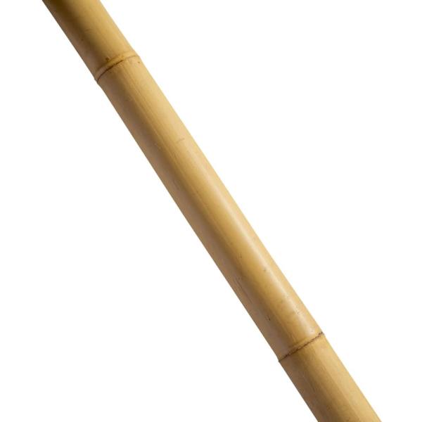 トンキンケーン 5本束 3.6m トンキン竹 トンキンバンブー バンブー