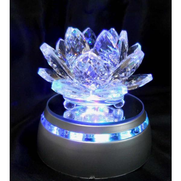 zakkahausu_zvpj3w2ezf