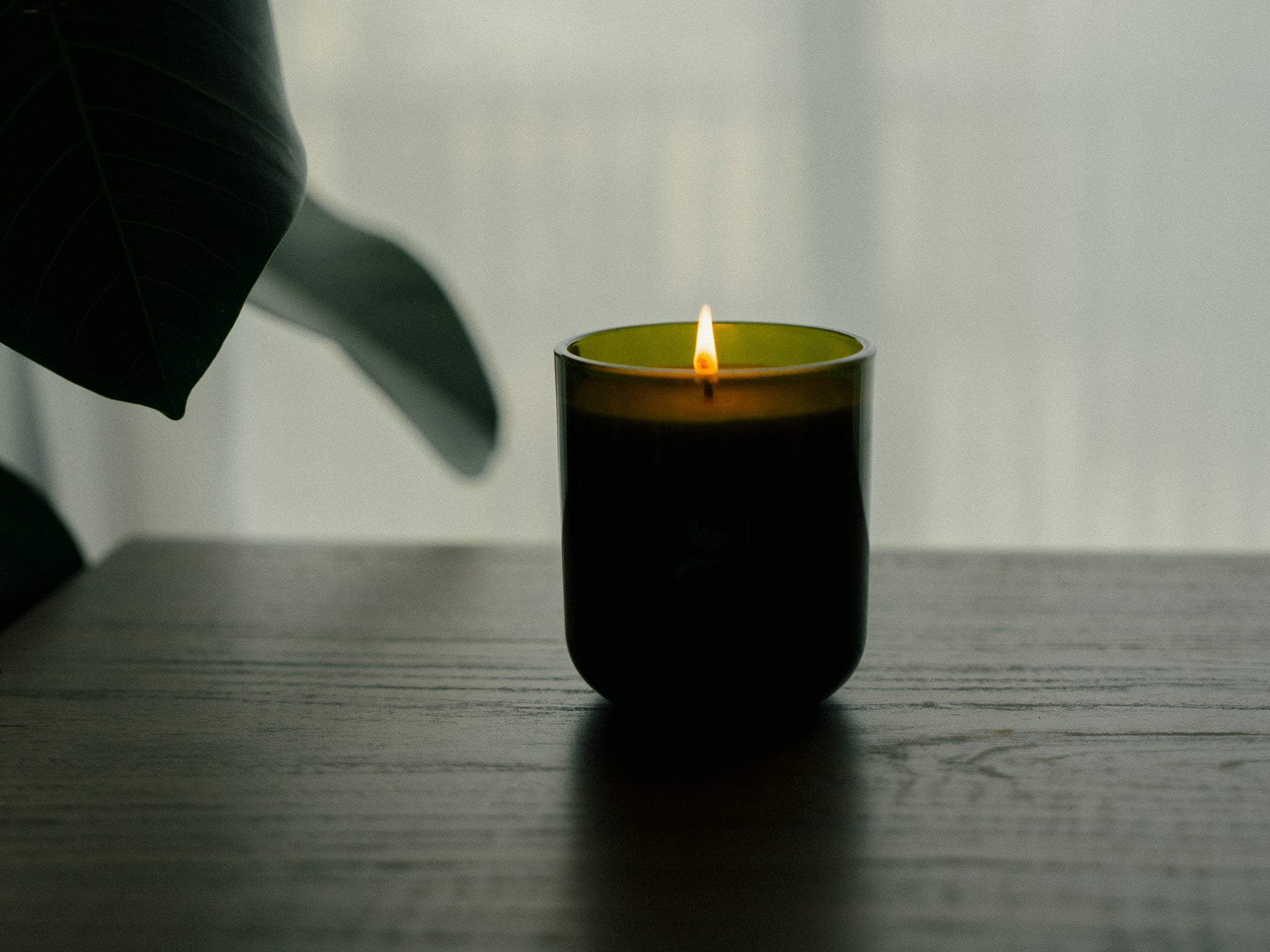 Lemon Fields Forever - アイビーコースト キャンドル – Ivycoast