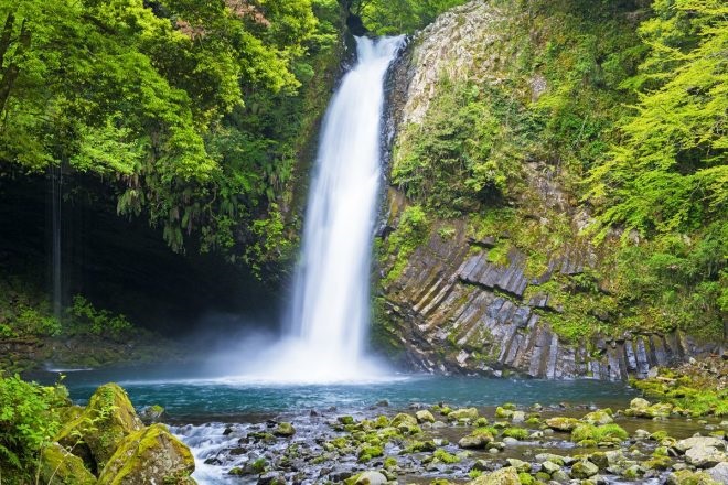 浄蓮の滝 - あの人が語る伊豆の魅力「いずみーる」