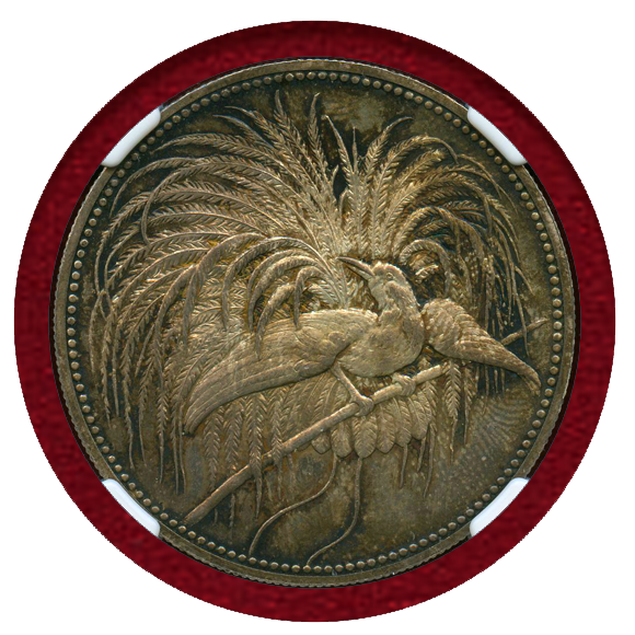 JCC | ジャパンコインキャビネット / 独領ニューギニア 1894A 5マルク