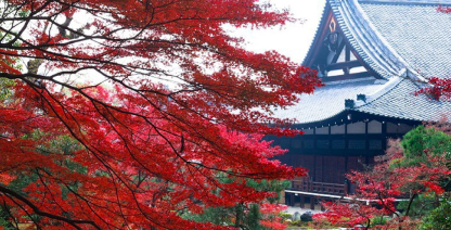 松竹創業百三十周年 坂東玉三郎特別公演 竹久夢二生誕百四十年記念