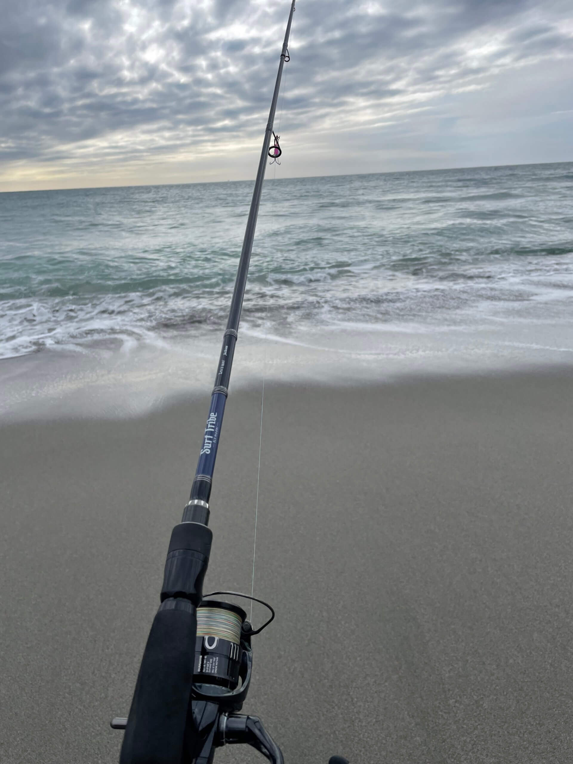 SLSロッドの可能性 | ジャクソン | Jackson | ルアー | 釣り